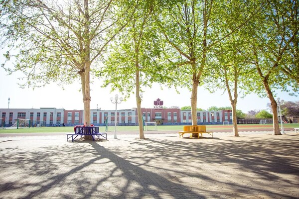 学院派影视国际班对接海外电影院校(图3)