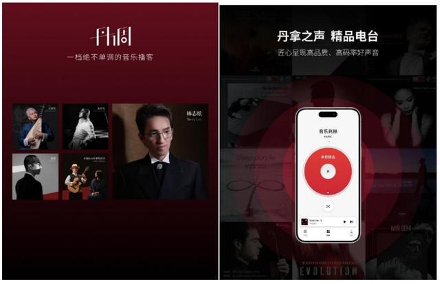 感受维也纳爱乐之声丹拿邀请你前往音乐现场(图2)