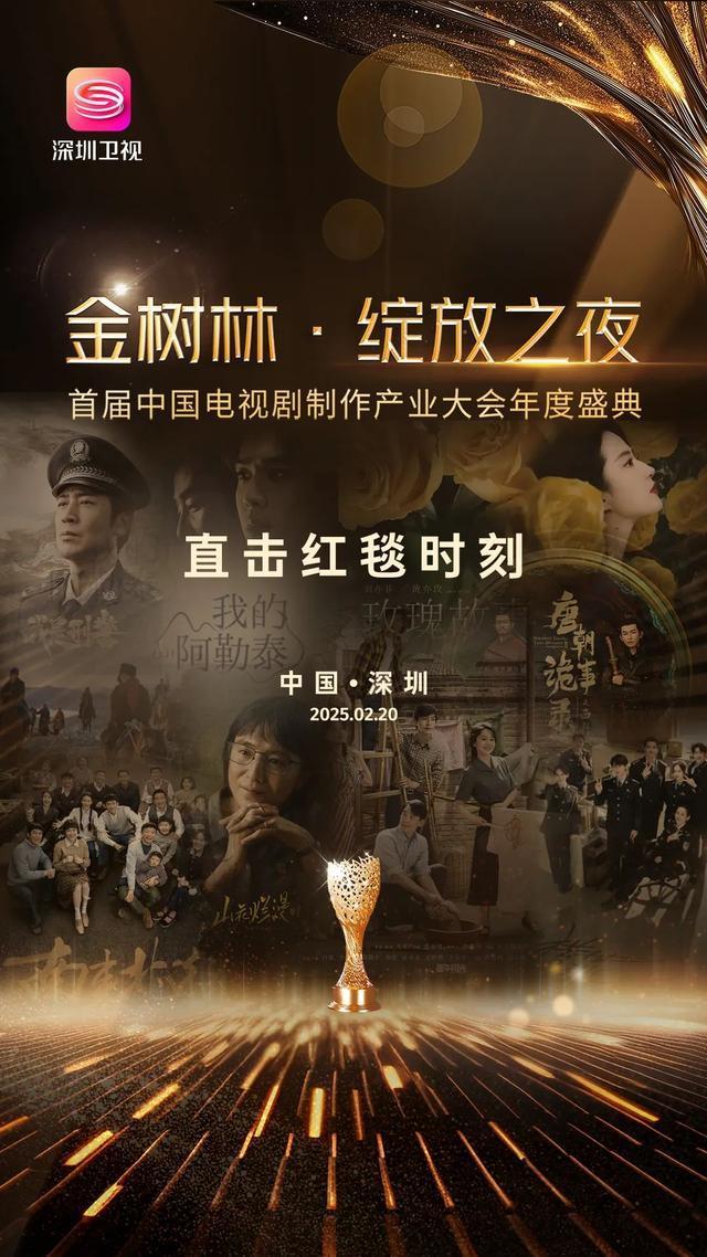 明星大咖行业巨头齐聚深圳共赴影视年度盛典见证电视剧制作辉煌(图2)