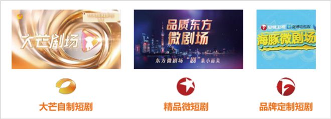 2024年智能电视激活家庭规模达336亿户同比增长30%(图10)