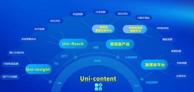 2024年智能电视激活家庭规模达336亿户同比增长30%(图13)