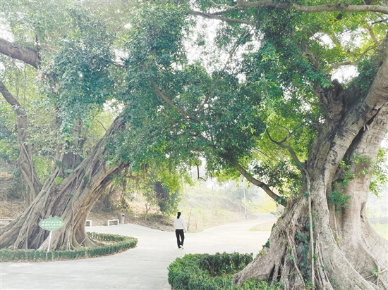 2025-06-24(图1)