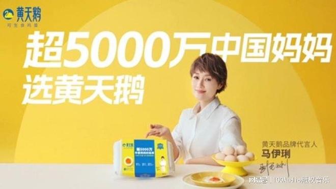 100Audio产品案例-为黄天鹅2024年品牌TVC提供音乐版权
